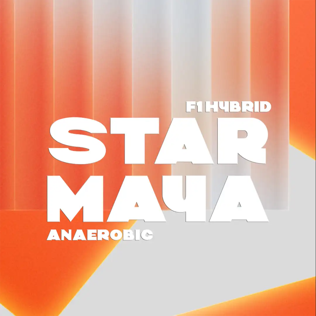 Brezilya Santuario Sul Starmaya f1 Hybrid